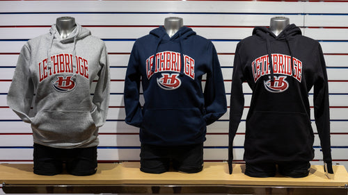 1506 - WOMEN'S RUSSELL COTTON FLEECE HOODIE